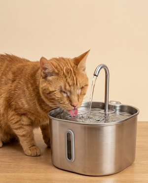 KittySprings — Faucet Fountain for Blind & Visually Impaired Cats
